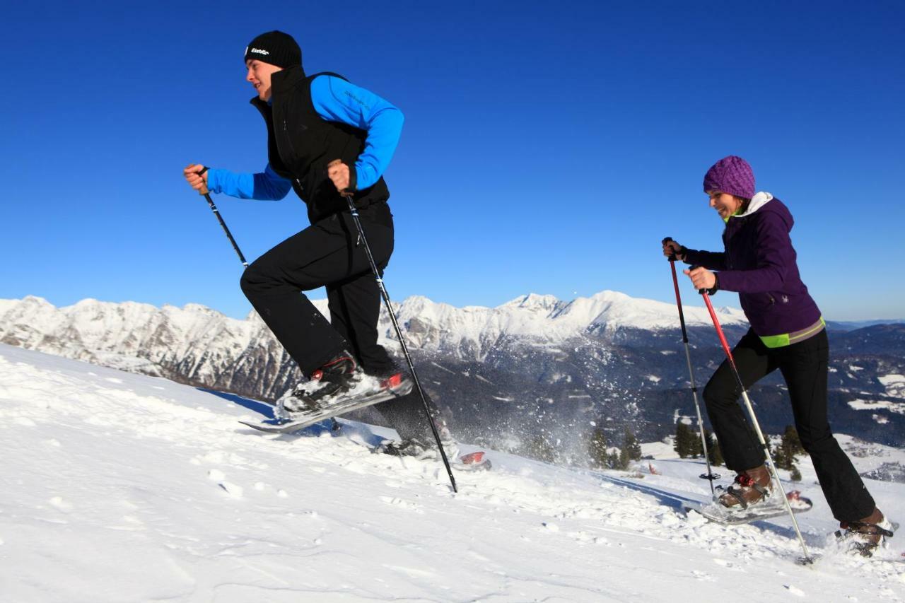 Sonnenchalet 2 Im Salzburger Lungau * Mariapfarr